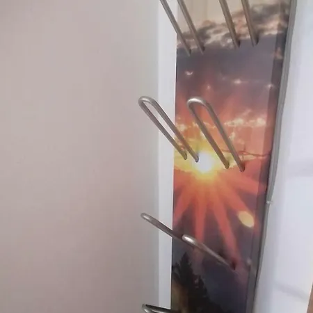 Steinlechner フューゲン